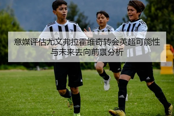 意媒评估尤文弗拉霍维奇转会英超可能性与未来去向前景分析